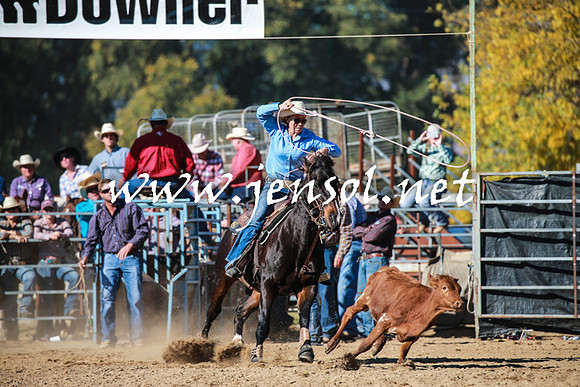 TumutRodeo2016Two_3368