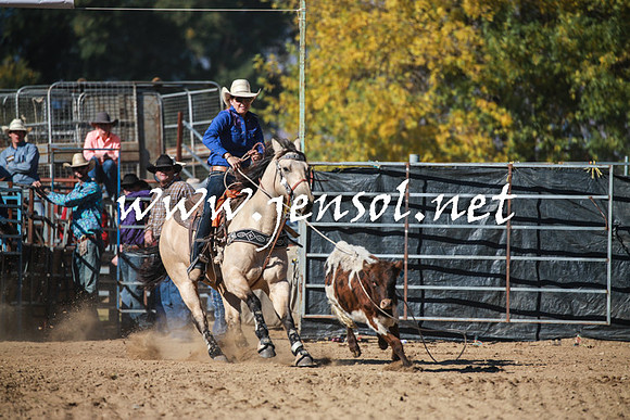 TumutRodeo2016Two_3328