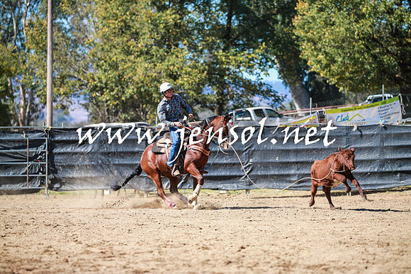 TumutRodeo2016_2863