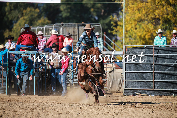 TumutRodeo2016Two_3401