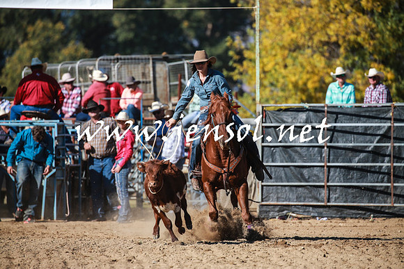 TumutRodeo2016Two_3399