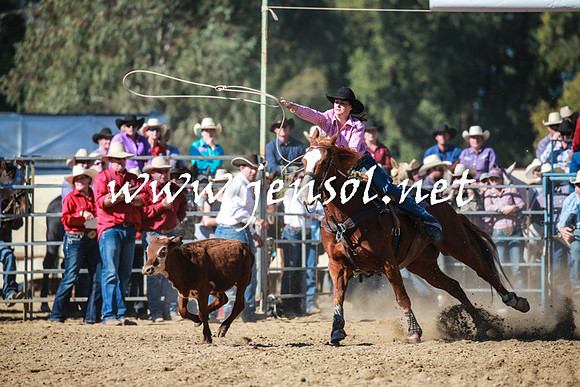 TumutRodeo2016Two_3316