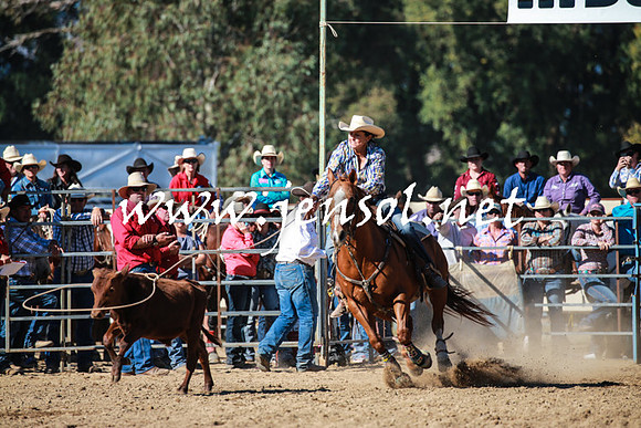 TumutRodeo2016Two_3347