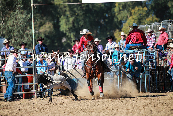 TumutRodeo2016Two_3381