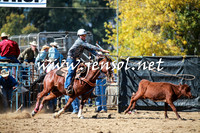 TumutRodeo2016_2868
