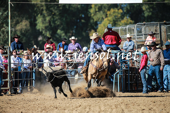 TumutRodeo2016Two_3334