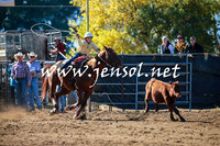 TumutRodeo2016_1279