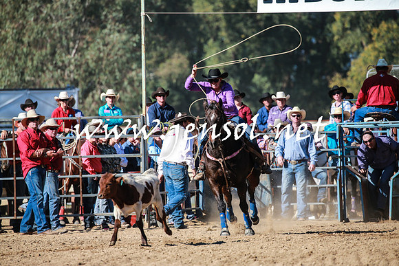 TumutRodeo2016Two_3356