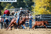 TumutRodeo2016_2867