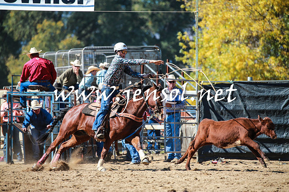 TumutRodeo2016_2867