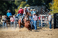 TumutRodeo2016_2875