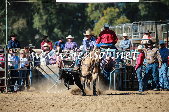 TumutRodeo2016Two_3333