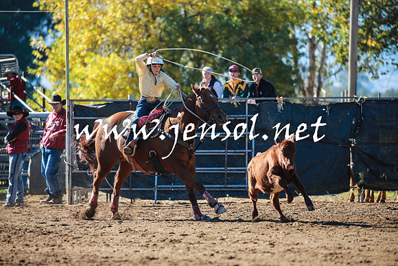 TumutRodeo2016_1276