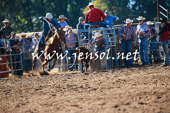 TumutRodeo2016_1263