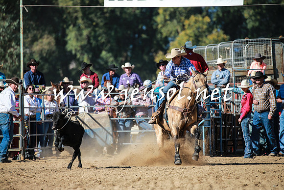 TumutRodeo2016Two_3332