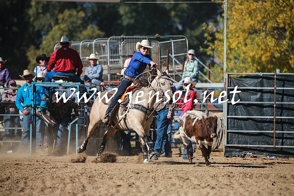 TumutRodeo2016Two_3320