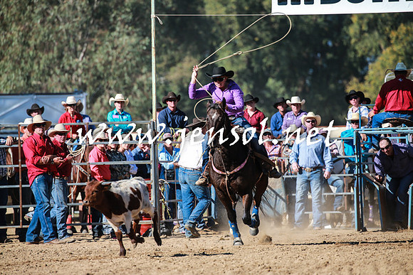 TumutRodeo2016Two_3354