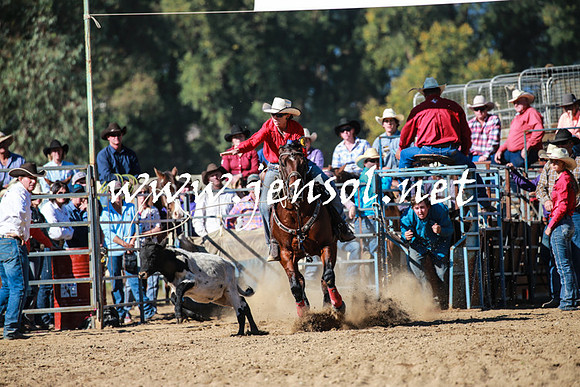 TumutRodeo2016Two_3382