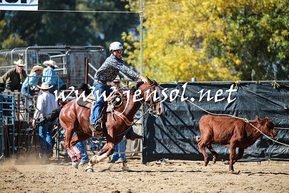 TumutRodeo2016_2866