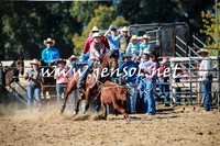TumutRodeo2016_2874