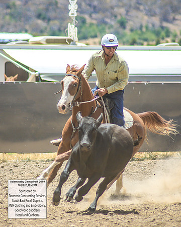 AdaminabyCampdraft2019_0884