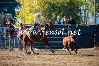 TumutRodeo2016_1277