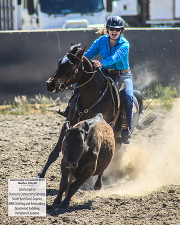 AdaminabyCampdraft2019_0417