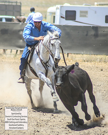 AdaminabyCampdraft2019_0665