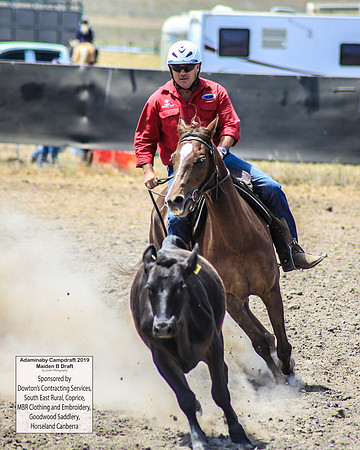AdaminabyCampdraft2019_0611