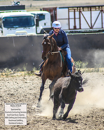 AdaminabyCampdraft2019_0601
