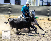 AdaminabyCampdraft2019_0498