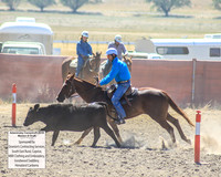 AdaminabyCampdraft2019_0485