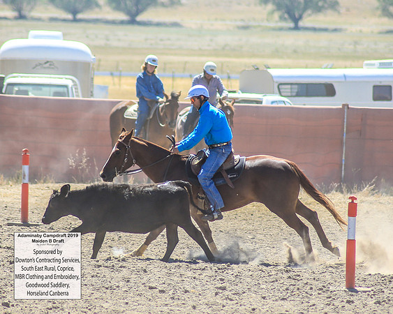 AdaminabyCampdraft2019_0485