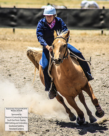 AdaminabyCampdraft2019_0597