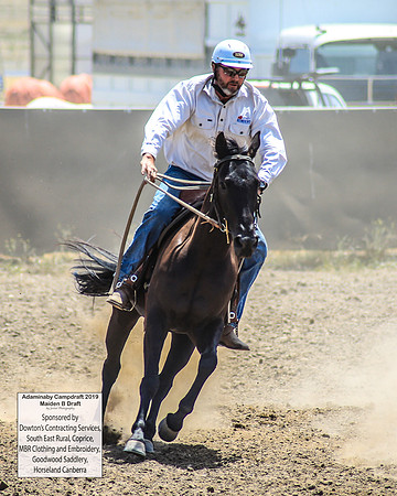 AdaminabyCampdraft2019_0616