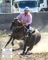 AdaminabyCampdraft2019_0439