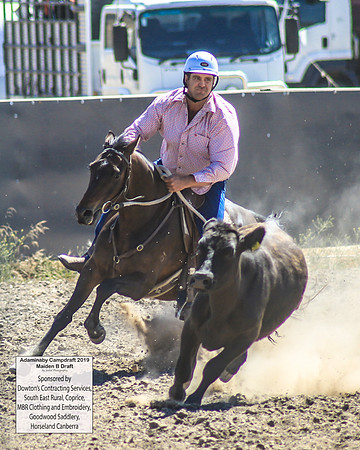 AdaminabyCampdraft2019_0439