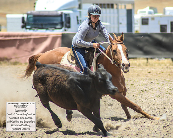 AdaminabyCampdraft2019_0875