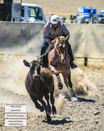 AdaminabyCampdraft2019_0548