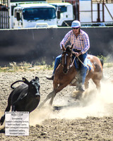 AdaminabyCampdraft2019_0449