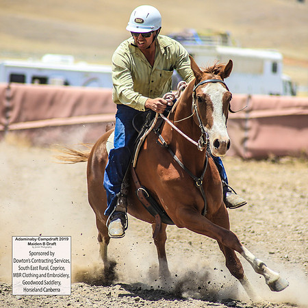 AdaminabyCampdraft2019_0895