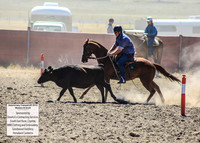AdaminabyCampdraft2019_0476
