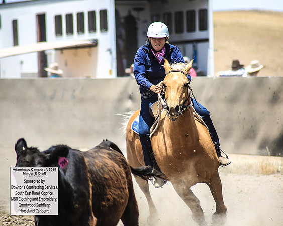 AdaminabyCampdraft2019_0868