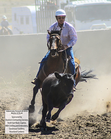 AdaminabyCampdraft2019_0385