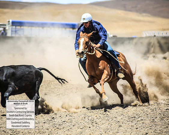 AdaminabyCampdraft2019_0912