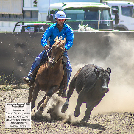 AdaminabyCampdraft2019_0624