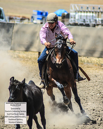 AdaminabyCampdraft2019_0651