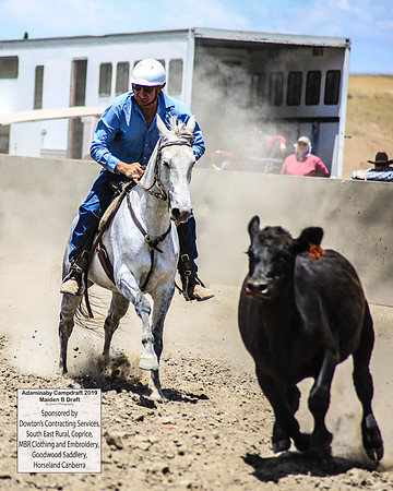 AdaminabyCampdraft2019_0928