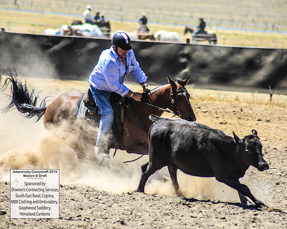 AdaminabyCampdraft2019_0549