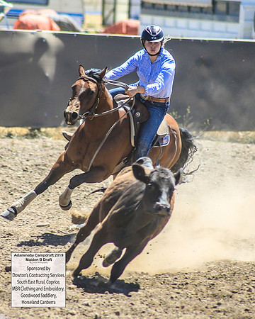 AdaminabyCampdraft2019_0521